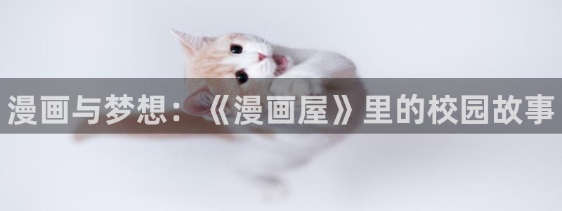 新新漫画手机版