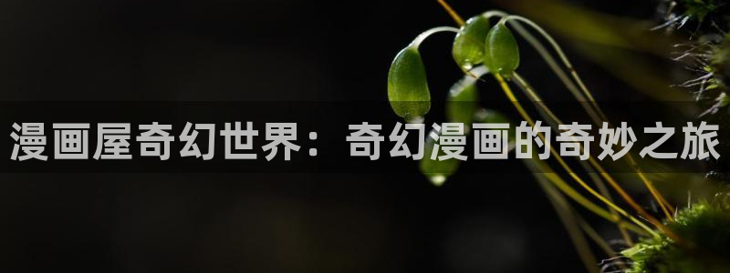 漫漫漫画重生漫画