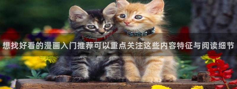 漫漫漫画高清漫画