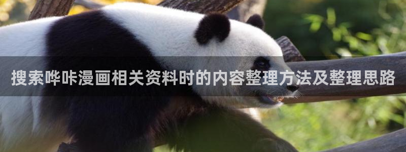 漫漫漫画在线观看