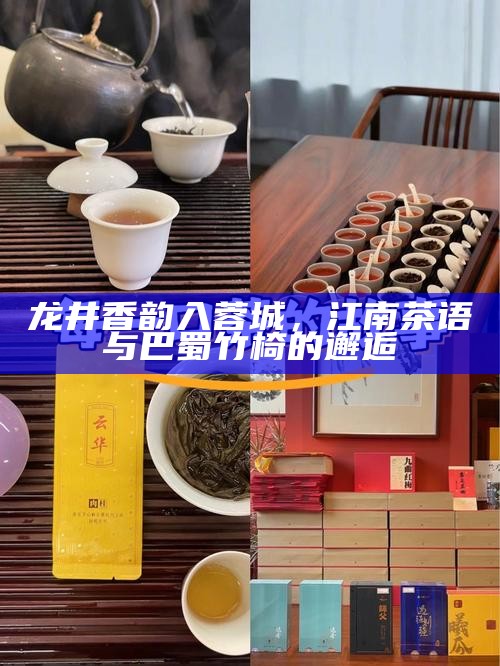 龙井香韵入蓉城，江南茶语与巴蜀竹椅的邂逅
